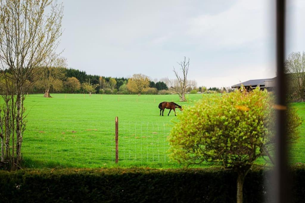 Gite à la ferme de la dame au lit Momignies Esterno foto
