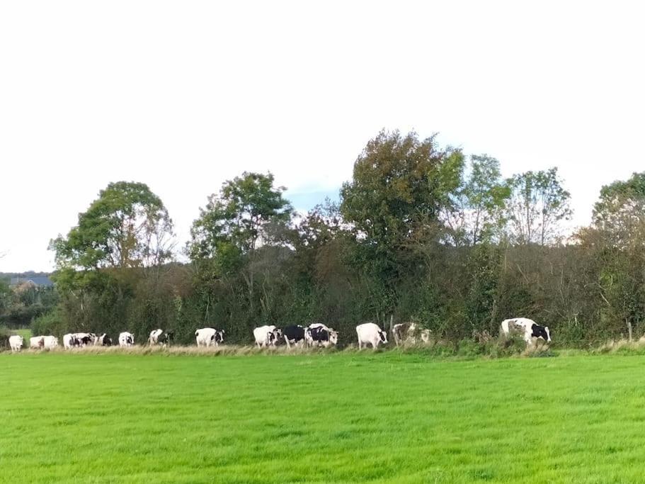 Gite à la ferme de la dame au lit Momignies Esterno foto