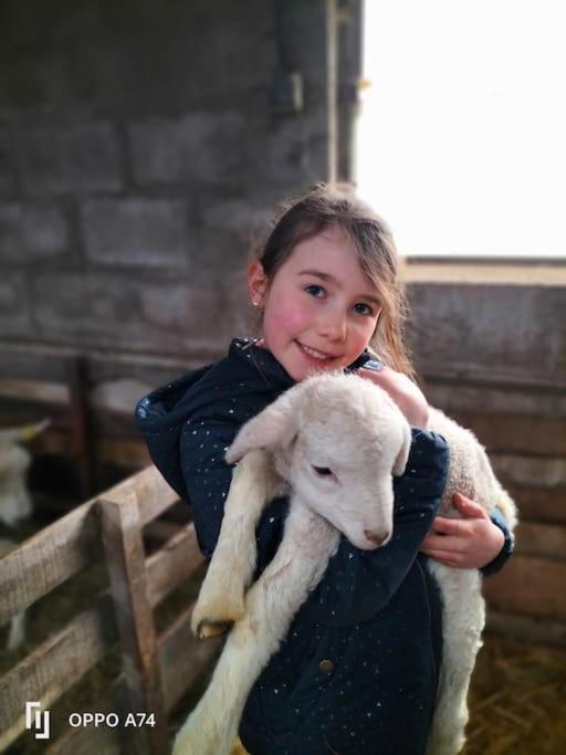 Gite à la ferme de la dame au lit Momignies Esterno foto