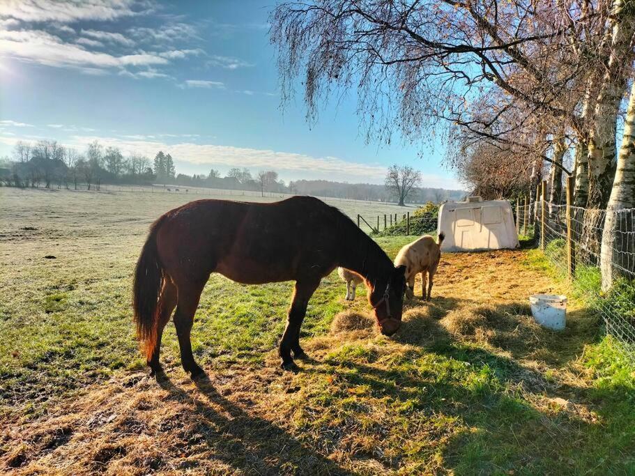 Gite à la ferme de la dame au lit Momignies Esterno foto