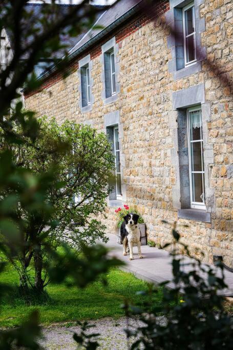 Gite à la ferme de la dame au lit Momignies Esterno foto