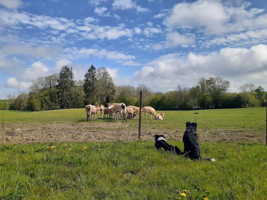 Gite à la ferme de la dame au lit Momignies Esterno foto